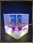Resin Cube | Night Light Cube - Fuchsia Triphylla