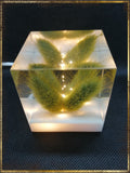 Resin Cube | Night Light Cube - Bunny Tail - Green