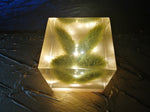 Resin Cube | Night Light Cube - Bunny Tail - Green