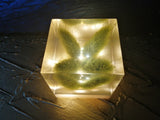 Resin Cube | Night Light Cube - Bunny Tail - Green