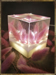 Resin Cube | Night Light Cube - Bunny Tail - Purple